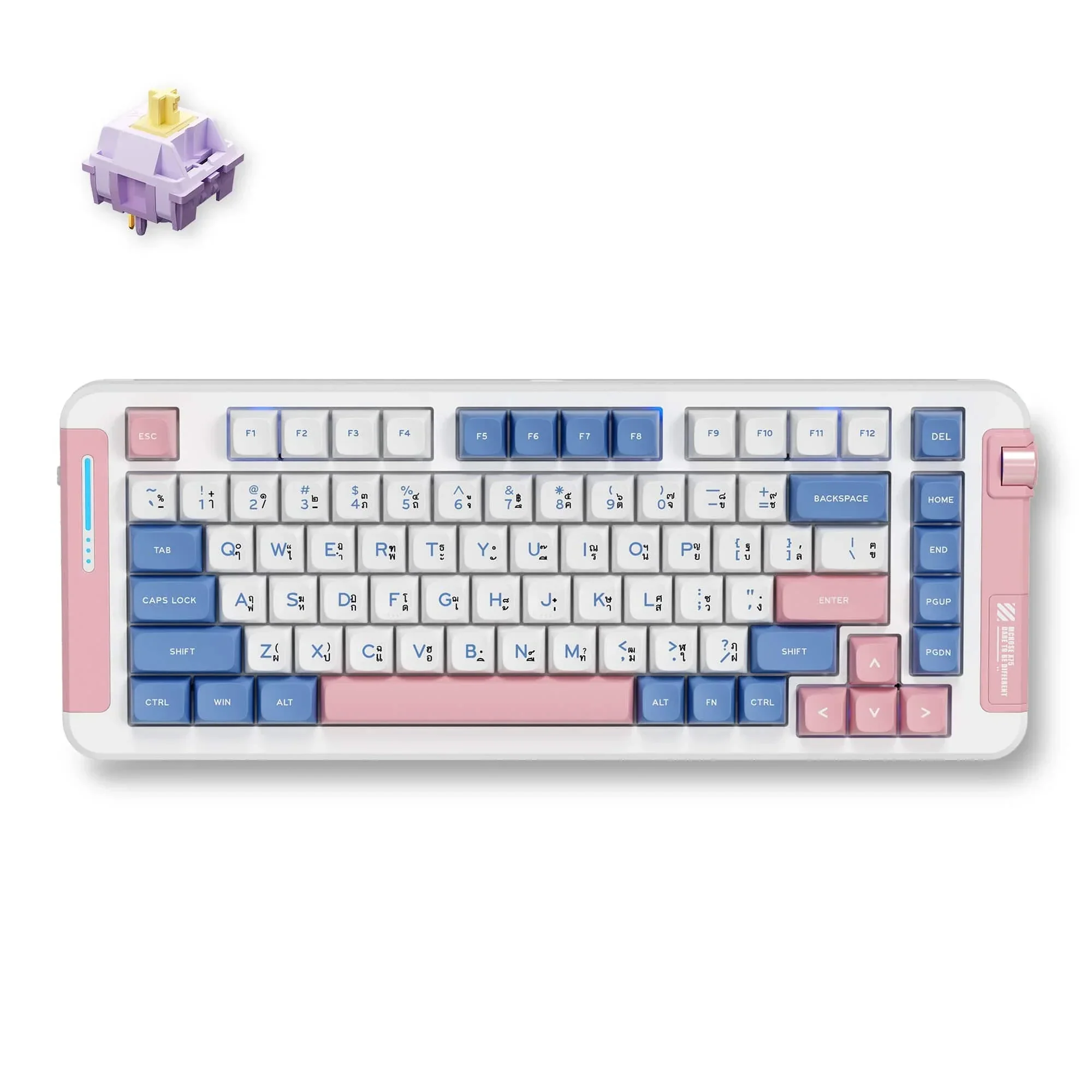 MCHOSE X75 Wireless Gasket Mount Mechanical Special Edition Thai Keyboard - Image 4